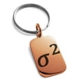 thumbnail image 1 of Stainless Steel Variance Mathematical Engraved Small Rectangle Dog Tag Charm Keychain Keyring, 1 of 1