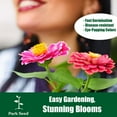 thumbnail image 4 of Park Seed Zinnia Flower Plant Seeds, Easy to Grow, Perfect for Spring Garden, Candy Mix, Pack of 50, 4 of 4
