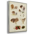 thumbnail image 3 of Mushroom Species I - Framed Premium Gallery Wrapped Canvas L Frame 3 Piece Set - Ready to Hang, 3 of 9