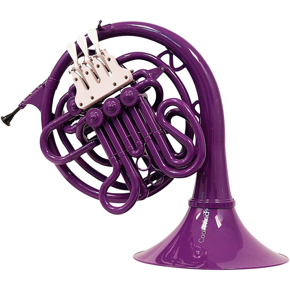 Cool Wind CFH-200BK Series Plastic Double French Horn - Walmart.com ...