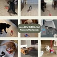 thumbnail image 5 of Jouet pour Chat, Balle Interactive avec Queue, Jouets à Roulettes Rechargeables USB, Mouvement 360° pour Chats et Chatons d'Intérieur, Jeu de Poursuite Intelligent, Gris, 5 of 5