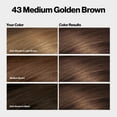 thumbnail image 4 of Revlon ColorSilk Permanent Hair Color, Bond Repair Complex, 43 Medium Golden Brown, 1 pack, 4 of 14