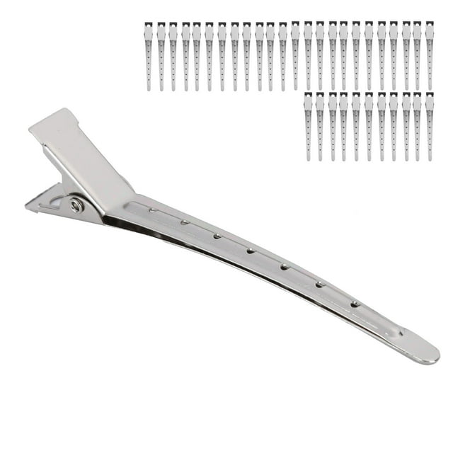 Pinces à Sectionner, 36 Pcs Pinces à Cheveux Fixes pour Salon pour Coiffeurs