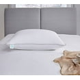 Martha Stewart 400 Thread Count Cotton Medium Firm Down Bed Pillow Standard