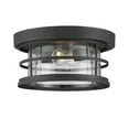 thumbnail image 2 of Barrett 2-Light Outdoor Ceiling Light in Black, 2 of 2