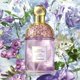 thumbnail image 4 of Perfume Guerlain Aqua Allegoria Flora Salvaggia EDT 125 ml Guerlain Guerlain, 4 of 5