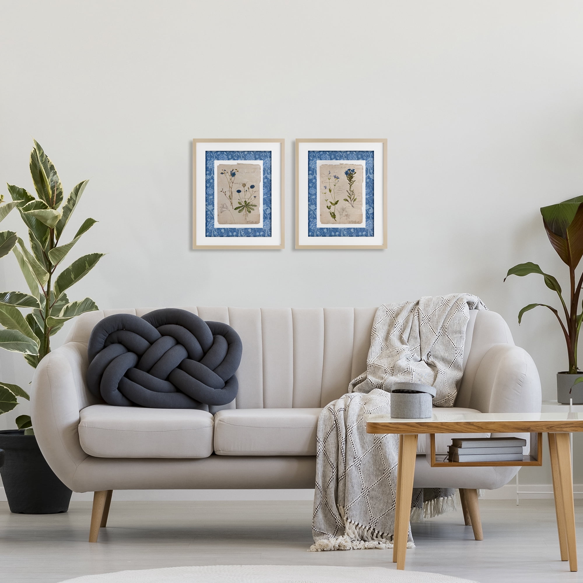 Stupell Industries Blue Botanical Herbs 2 Piece Birch Framed Print Under Glass Set, design by Livi Finn