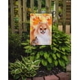thumbnail image 2 of Carolines Treasures BB9977GF Drapeau d'Automne No.2 - Taille du Jardin, 2 of 3