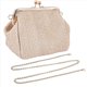 thumbnail image 2 of Small Crossbody Boho Bags Ladies Handbag Straw(Brown), 2 of 5