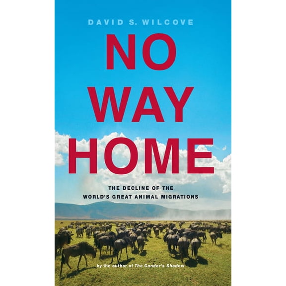 No Way Home : The Decline of the World's Great Animal Migrations (Hardcover)