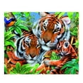 thumbnail image 1 of Cuadro de diamantes brillantes ZS315 - Kit de arte DIY 30x40 cm con cristales y lienzo, 1 of 6