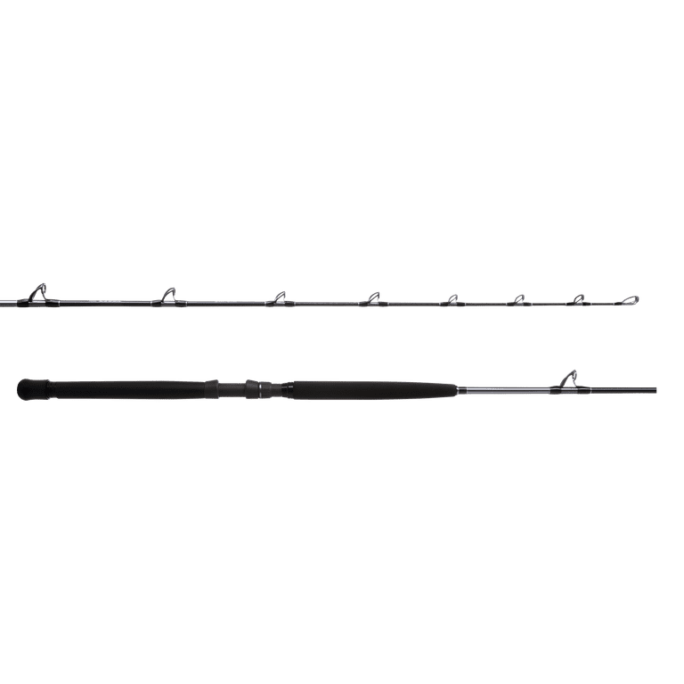 Shimano Fishing TEREZ BW 66 MH RG CST A Saltwater Casting