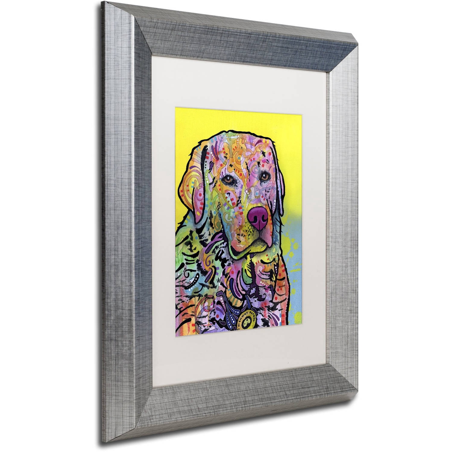 Trademark Fine Art "Goose" Canvas Art by Dean Russo, White Matte, Silver Frame