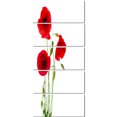 thumbnail image 2 of Fleurs de Coquelicot Rouge Isolées - Impression sur Toile Florale, 2 of 3