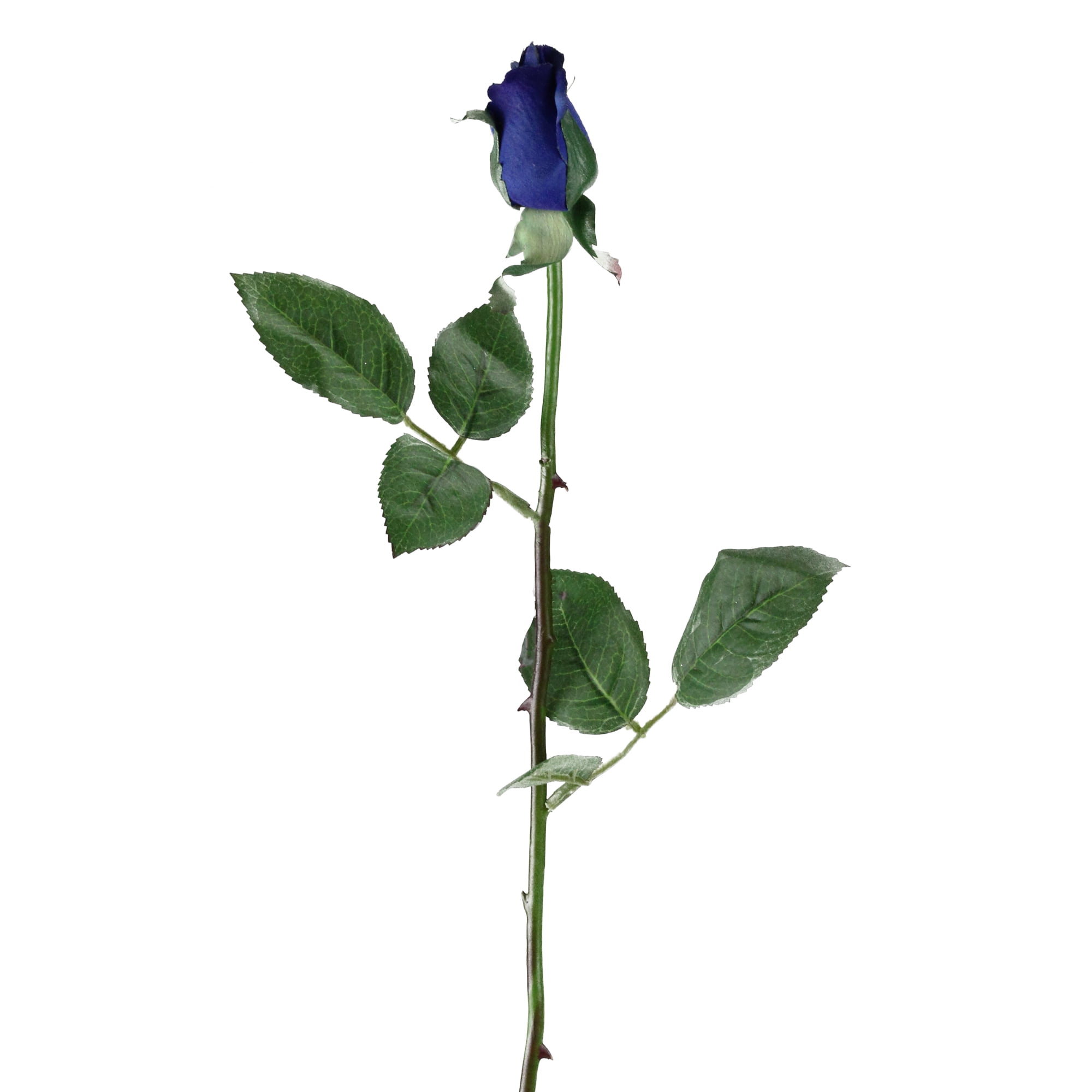 20cm Wide 18 Head Royal Blue Rosebud with Gyp 45cm High 