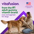 thumbnail image 2 of Multivitamínico para perros Vitafusion Superfood 120 masticables blandos, 2 of 9