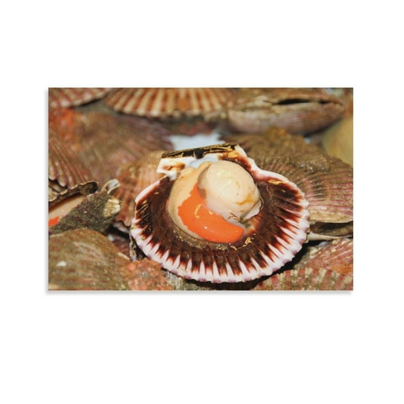 Scallop Seafood Fresh Shellfish Canvas Art Poster And Wall Art Picture Print Modern Family Bedroom Decor Posters,Unframe-style,12x18inch(30x45cm)