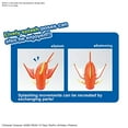 thumbnail image 4 of Pokemon Kit de Modèle en Plastique : Grand 01 Magikarp, 4 of 5