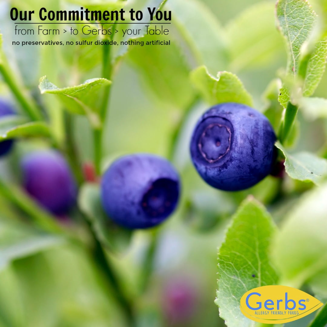 Dried Blueberries by Gerbs - 2 LBS - Sweetened - Unsulfured - Top 14 Food Allergen Free & NON GMO