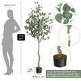 thumbnail image 2 of Ataucjin 4/5/6FT 1PCS Artificial Eucalyptus Tree Modern Large Fake Plant In Pot Faux Floor Plant Fake Silk Trees For Indoor Outdoor Home Office Housewares Gift Decor, 2 of 5