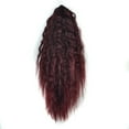 thumbnail image 3 of Extension de Cheveux à Clip pour Femmes, Pince Épaisse Ondulée Bouclée Queue de Cheval Courte, 3 of 3