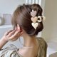 thumbnail image 5 of Pinzas para el cabello extra grandes Pinzas para el cabello Accesorios para peinados Pinza para el cabello de sujeción fuerte Marrón Caqui Beige Yuyangstore pinzas para el cabello, 5 of 7
