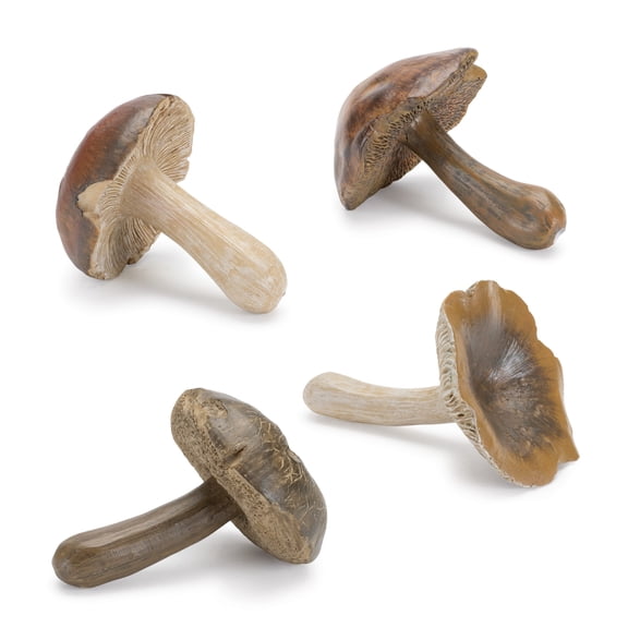 Melrose Mushroom Shelf Sitter Figurines - 3" - Club Pack of 12