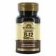 thumbnail image 1 of Suplemento Windmill Health de vitamina B12 sublingual 100 comprimidos, 1 of 3