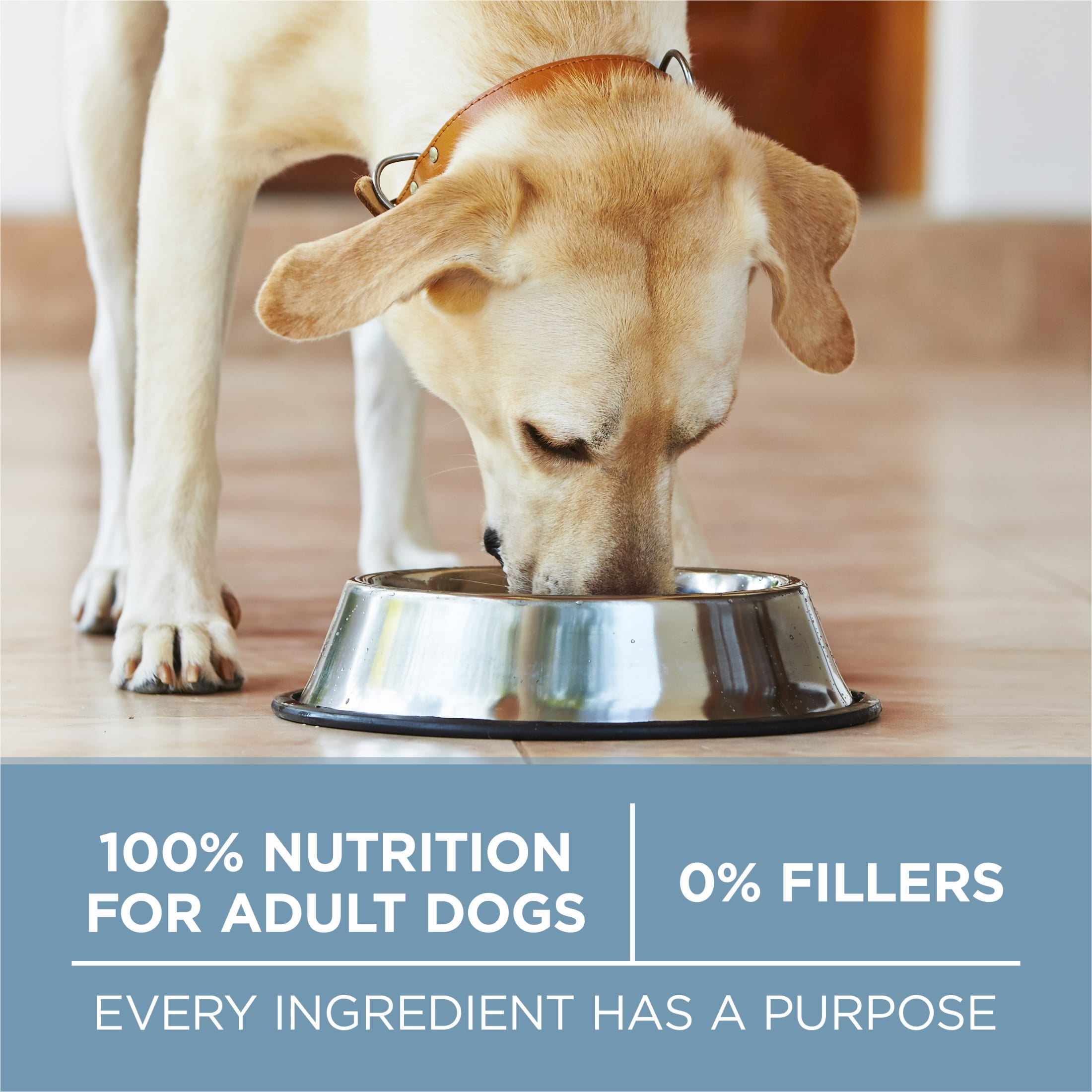 Purina One Plus Joint Health Chicken & Rice Flavor Dry Dog Food, 16.5 lb Bag