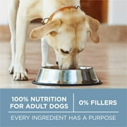 Purina One Plus Joint Health Chicken & Rice Flavor Dry Dog Food, 16.5 lb Bag