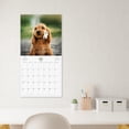 thumbnail image 6 of 2025 Hanging Wall Calendar, Puppies, 12x12 by Blue Sky, 6 of 6