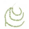 thumbnail image 1 of Plantas Suculentas Colgantes, Arreglo Floral de Bricolaje, 1 of 9