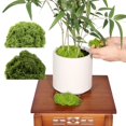 thumbnail image 1 of Musgo Artificial 500g | Musgo plástico verde realista para bonsái, decoración de plantas en maceta, jardinería, manualidades DIY | Textura de líquenes | 20x20x10cm | Exposición versátil de oficinas, 1 of 8