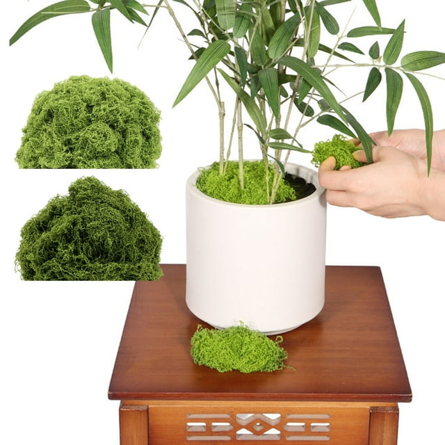 Musgo Artificial Decor 500g | Musgo plástico biomimético realista para plantas en macetas, bonsái, terrario, arreglos florales, artesanías, paisaje de bricolaje | Textura de liquen verde | 20x20x10cm