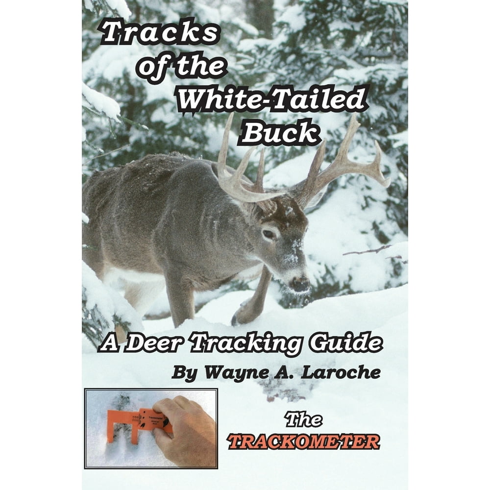 Tracks of the WhiteTailed Buck A Deer Tracking Guide