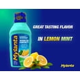 thumbnail image 4 of Mylanta Heartburn and Gas Relief, Liquid Antacid, Great New Formula, Now Tastes Better,Classic Flavor, 12 Fluid Ounce, 4 of 7