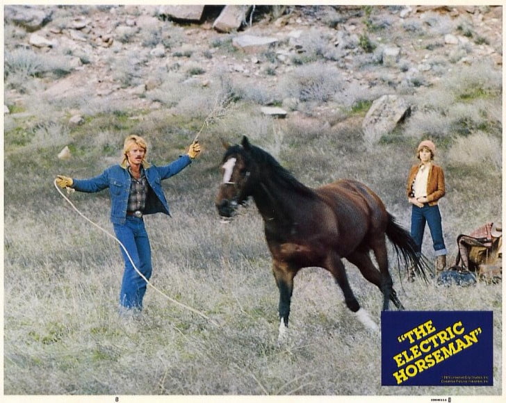 The Electric Horseman movie POSTER (Style H) (11" x 14") (1979)