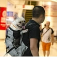 thumbnail image 2 of Light Weight Pet Carrier Backpack For Small And Medium Dogs, Veterinarian Approved Safe Bag For Travel - Easy Take Space Saving - Black M, 2 of 5