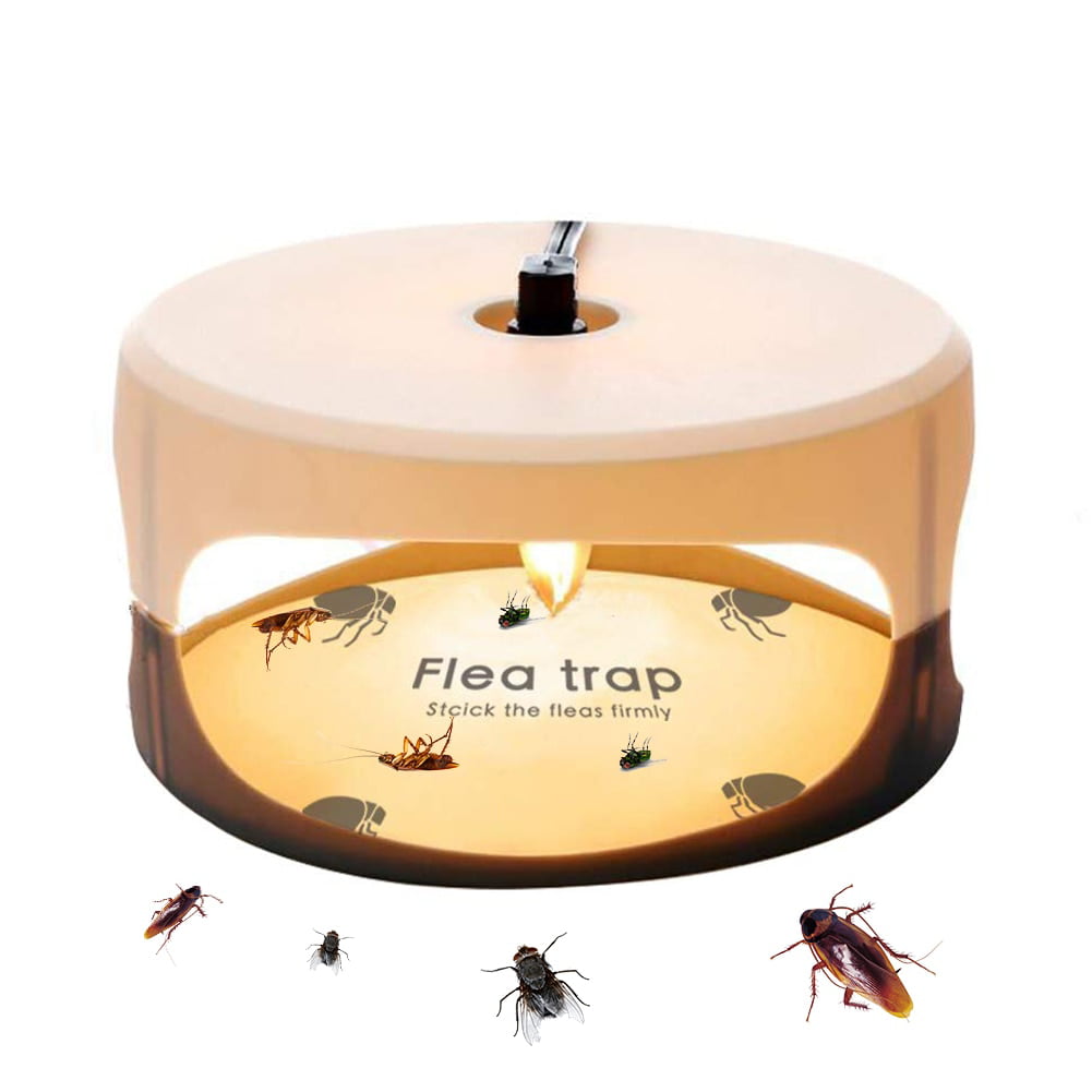 2-10PCS Flea Trap Discs Sticky Replacement Pads Pest Control Killer Home Insect 