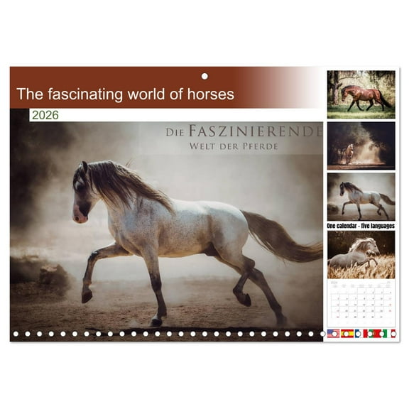 The fascinating world of horses (Monthly Wall Calendar 2026 11.7 x 16.5 (open)), CALVENDO 14 Month Calendar