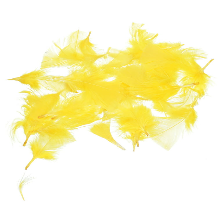 Yellow Feathers