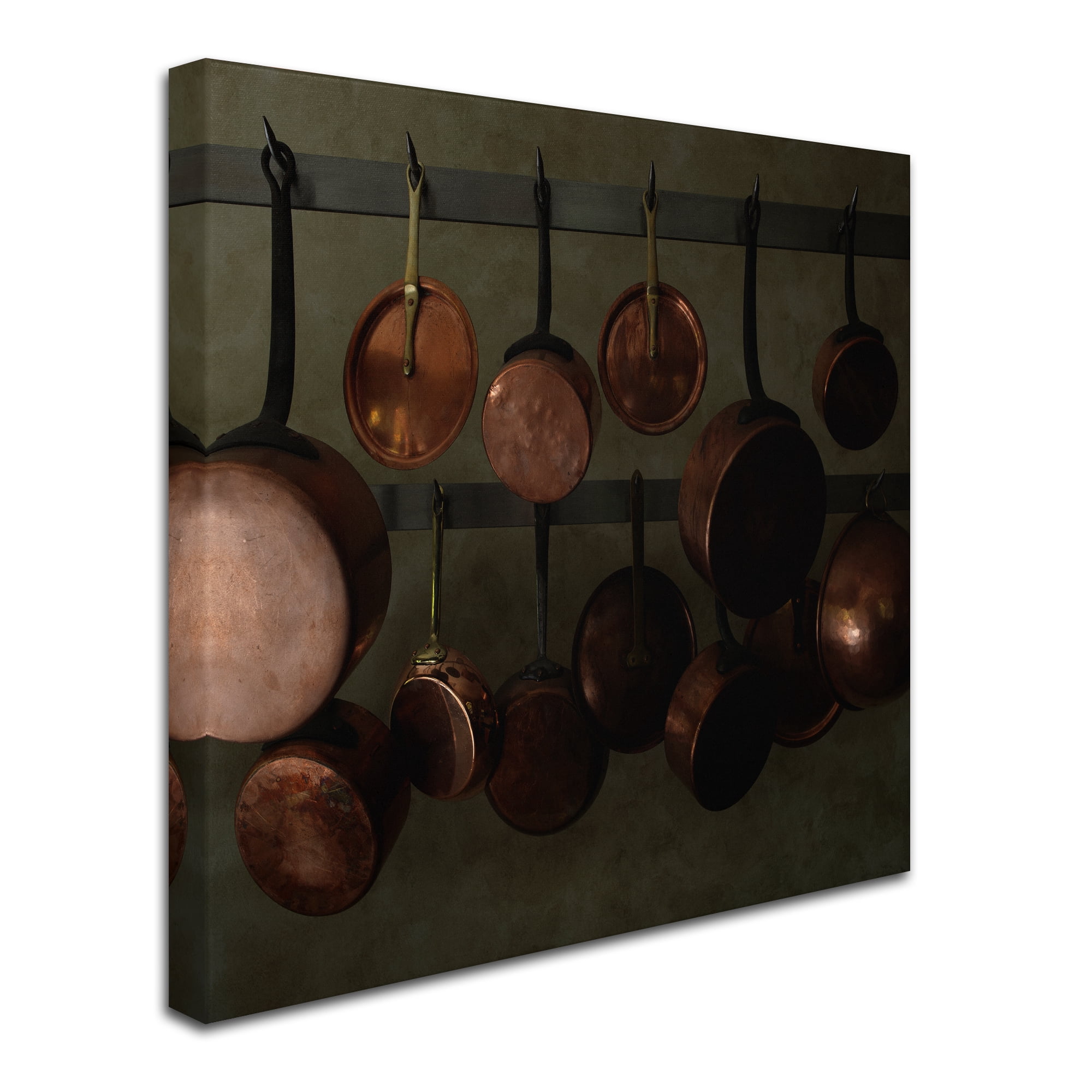 Trademark Fine Art 'Hanging Copper' Canvas Art by Geoffrey Ansel Agrons