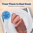 thumbnail image 4 of Blue Buffalo True Chews Premium Jerky Cuts Chicken-Free Natural Dog Treats, Duck, 22oz., 4 of 10