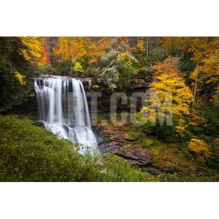 Dry Falls Autumn Waterfalls Highlands Nc Forest Fall Foliage Print Wall Art By daveallenphoto