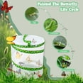 thumbnail image 4 of Butterfly Growing Kit - Foldable Butterfly Habitat Cage - 13.8x12Inch Tall - Clear Mesh Enclosure Terrarium, 4 of 8