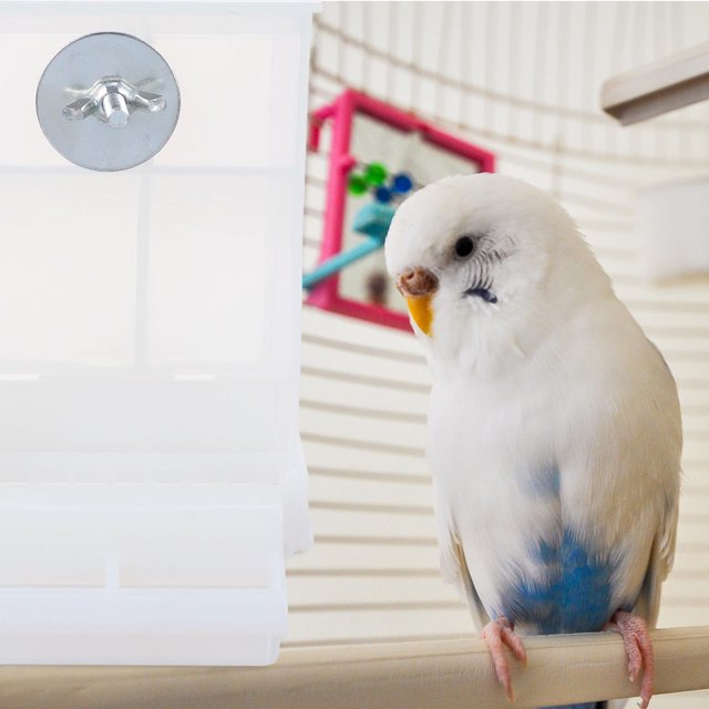 Nestingho 2Ud Alimentador Para Pájaros Con Función Antihumedad Para Uso En Jaula O Exterior