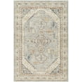 thumbnail image 2 of Mark&Day Area Rugs, 9x12 Tiwanna Traditional Pale Blue Area Rug, Blue Brown Red Carpet for Living Room, Bedroom or Kitchen (9' x 12'2"), 2 of 4