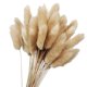 thumbnail image 2 of 100 Piezas Flores Secas de Color Crudo Natural Ramo de Flores Reales, 2 of 6