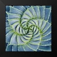 thumbnail image 2 of Bell, Jan 12x12 Black Modern Framed Museum Art Print Titled - Spiral Succulent, 2 of 5