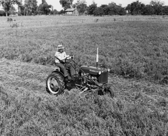 Farmer Mowing Alfal